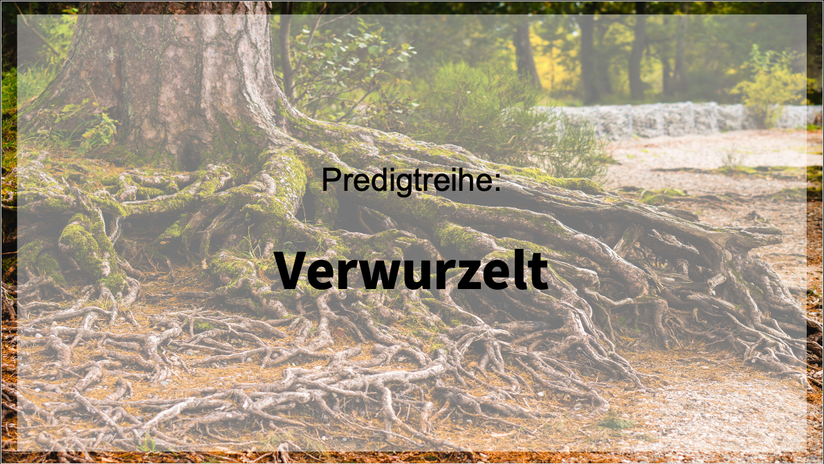 Verwurzelt – Neues kommt hervor