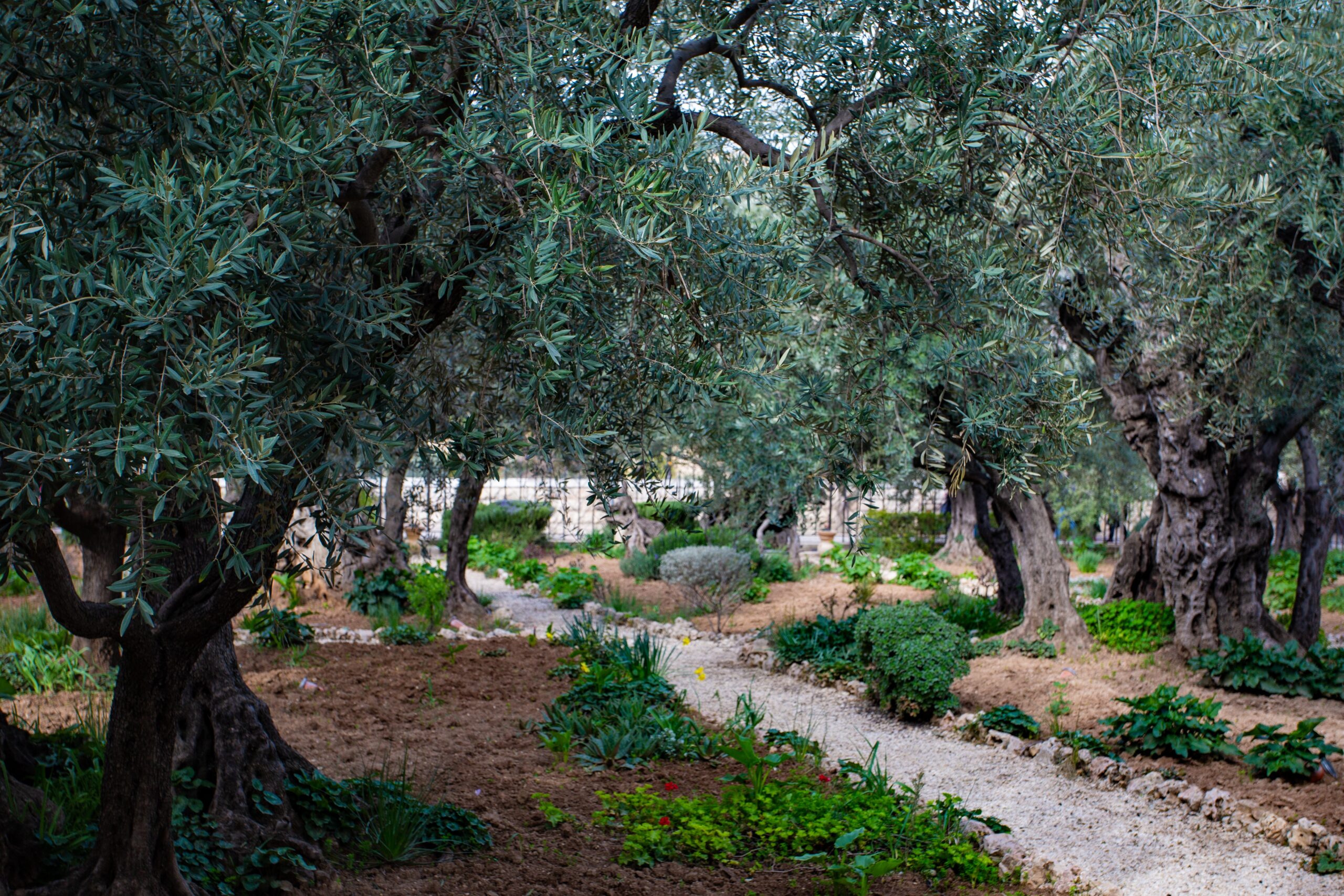 Im Garten Gethsemane